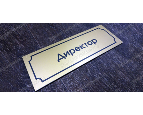 Табличка «Директор»